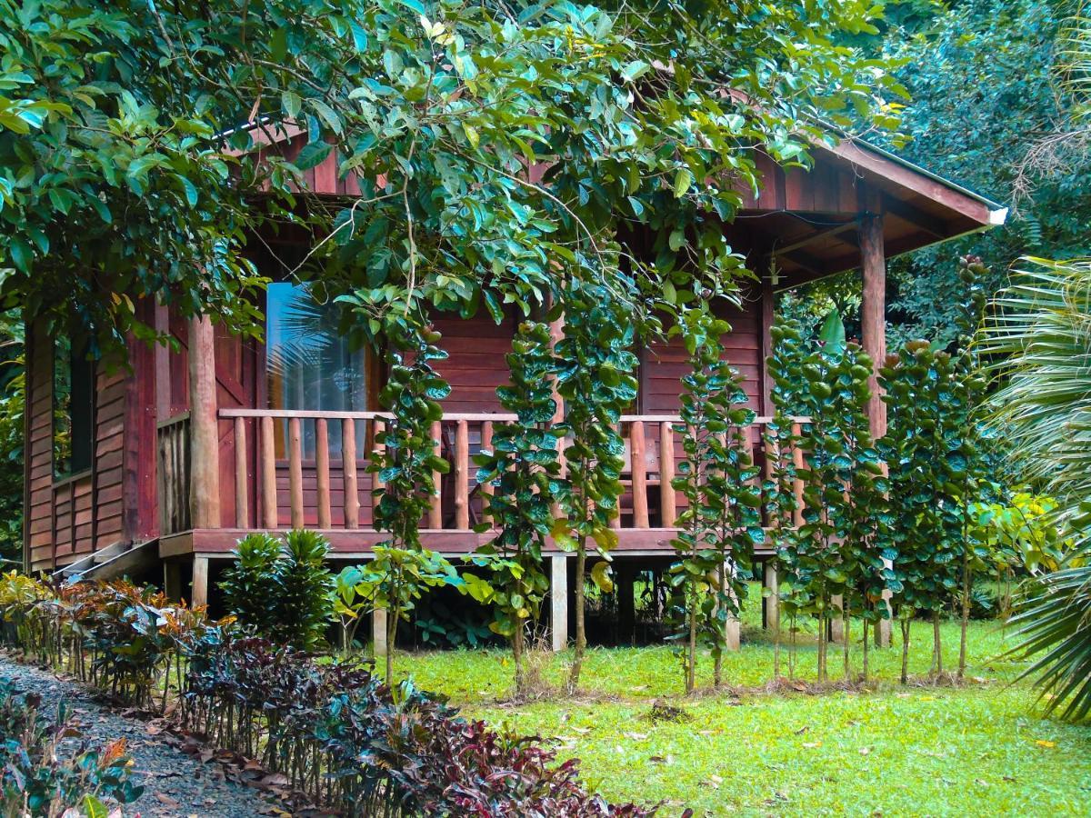 Cataratas Bijagua Lodge, Incluye Tour Autoguiado Bijagua Waterfalls Hike Exterior photo