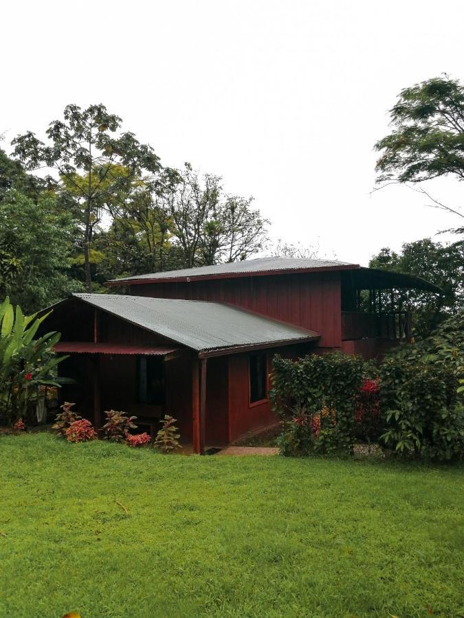 Cataratas Bijagua Lodge, Incluye Tour Autoguiado Bijagua Waterfalls Hike Exterior photo