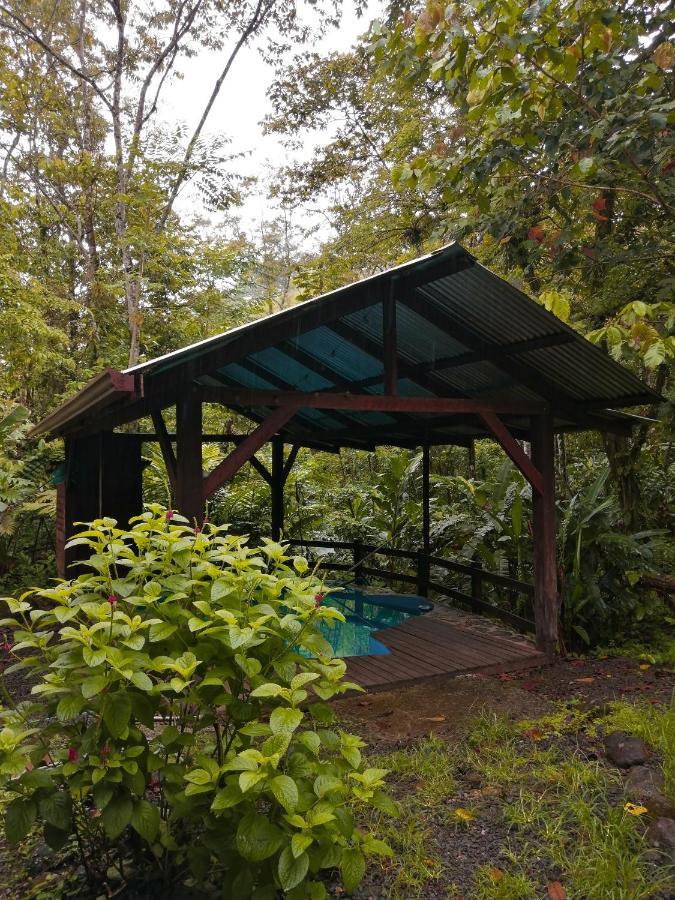Cataratas Bijagua Lodge, Incluye Tour Autoguiado Bijagua Waterfalls Hike Exterior photo