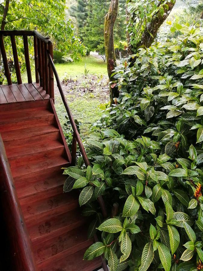 Cataratas Bijagua Lodge, Incluye Tour Autoguiado Bijagua Waterfalls Hike Exterior photo