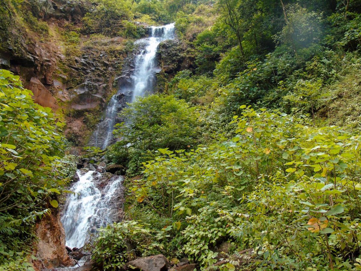 Cataratas Bijagua Lodge, Incluye Tour Autoguiado Bijagua Waterfalls Hike Exterior photo