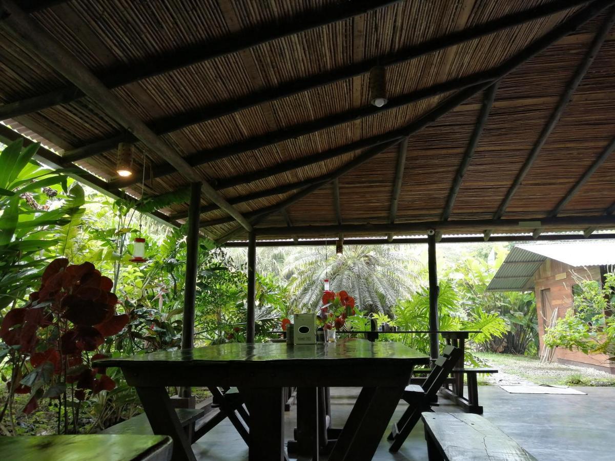 Cataratas Bijagua Lodge, Incluye Tour Autoguiado Bijagua Waterfalls Hike Exterior photo