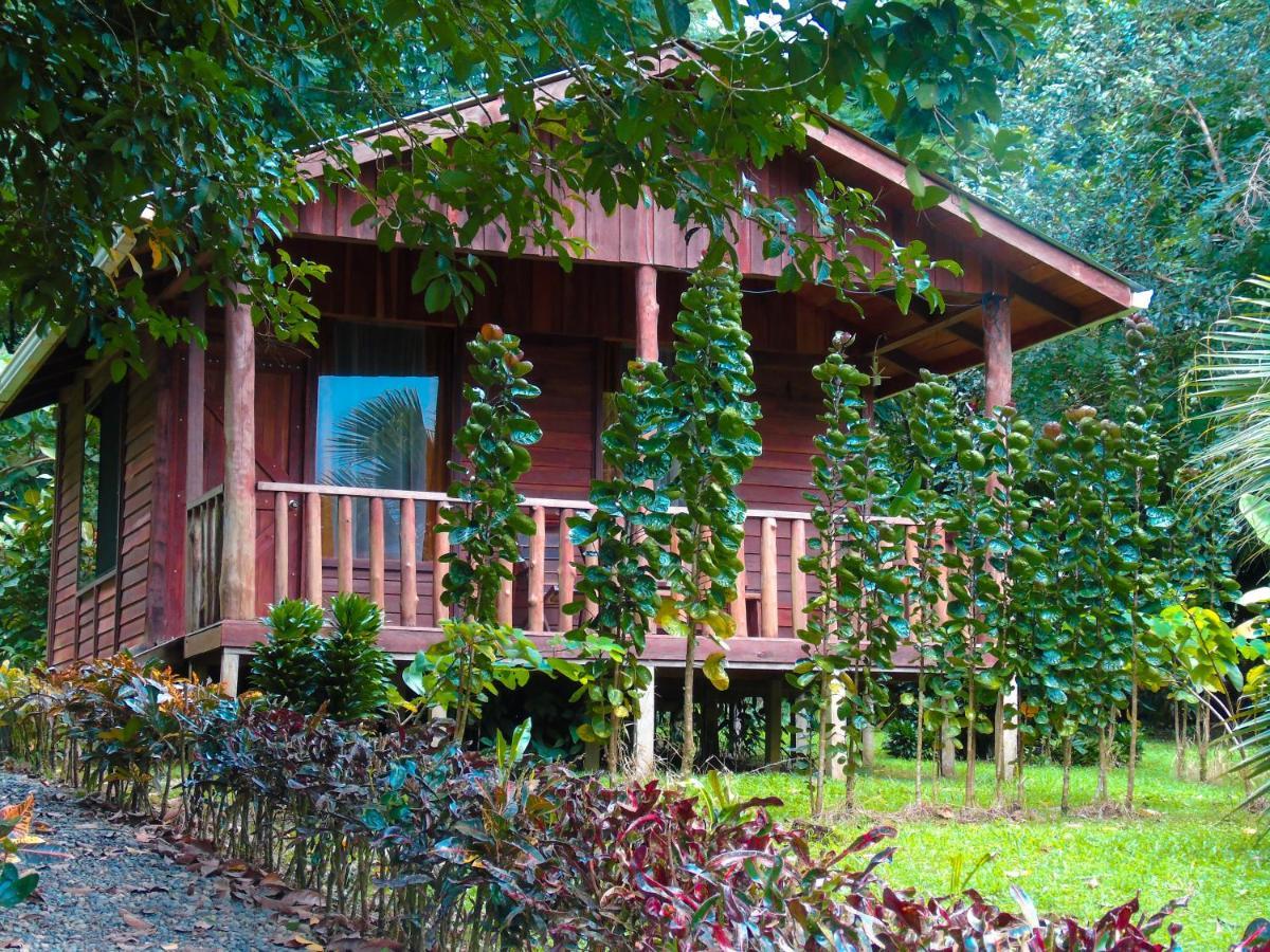Cataratas Bijagua Lodge, Incluye Tour Autoguiado Bijagua Waterfalls Hike Exterior photo
