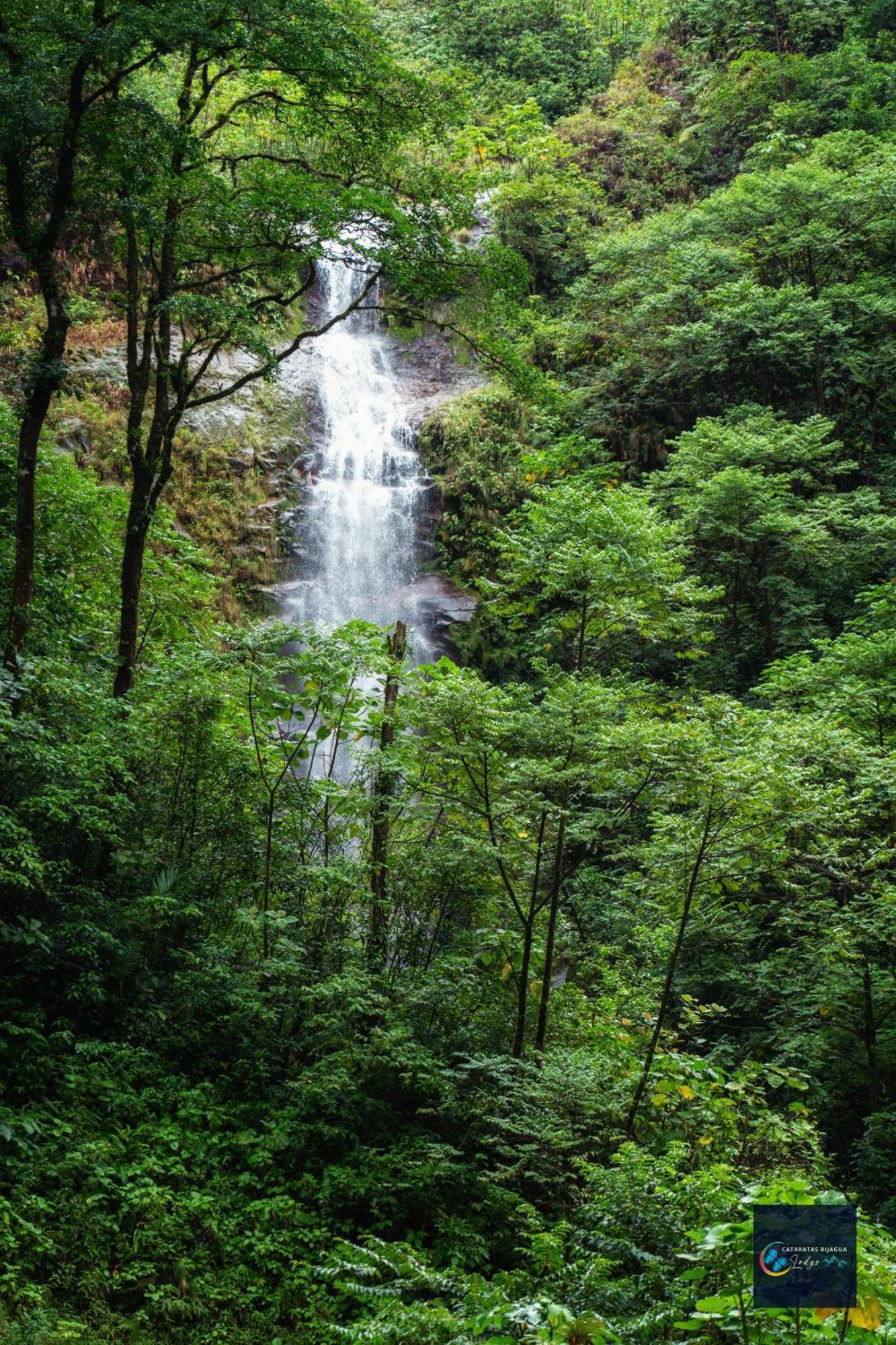 Cataratas Bijagua Lodge, Incluye Tour Autoguiado Bijagua Waterfalls Hike Exterior photo