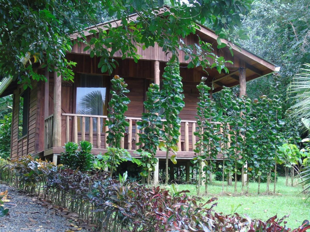 Cataratas Bijagua Lodge, Incluye Tour Autoguiado Bijagua Waterfalls Hike Exterior photo